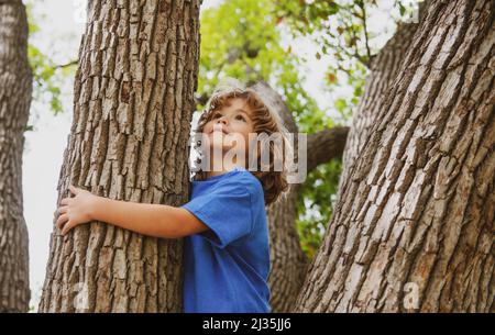 Ragazzo giovane abbracciando un ramo di albero. Ragazzino su un ramo di albero. Il bambino sale su un albero. Foto Stock