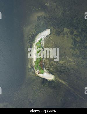 Forma della lettera c . vista dall'alto in natura Foto Stock