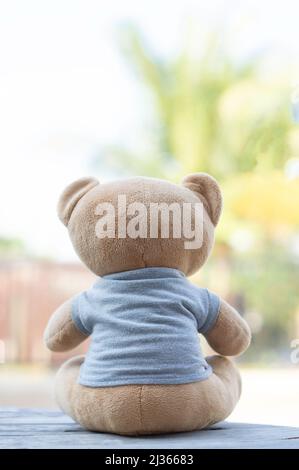 Foto verticale orsacchiotto marrone rivolto verso la fotocamera seduta su uno sfondo di legno con sfondo verde. Foto Stock