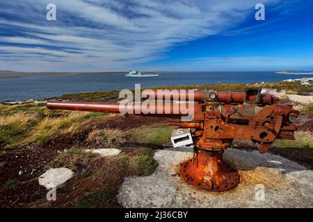 Falklands War, costa rocciosa con vecchio cannone arrugginito. Pistola di artiglieria corrodata da Falklands conflitto in habitat naturale. Cielo blu paesaggio, Falkland Islan Foto Stock