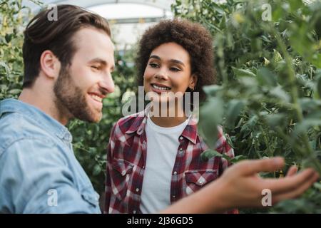 giovane donna afroamericana sorridente vicino alla blurred agricoltore controllo piante in serra Foto Stock