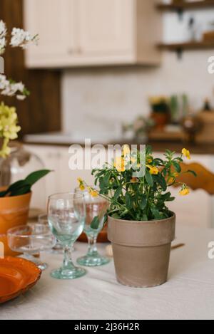 Fiori gialli in vaso di ceramica nel decor della cucina in stile Scandinavo Foto Stock