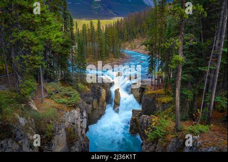 Sunwapta rientra nel Parco Nazionale di Jasper, Canada Foto Stock