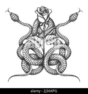 Tatuaggio di due serpenti e fiore di rosa isolato su bianco. Illustrazione vettoriale. Illustrazione Vettoriale