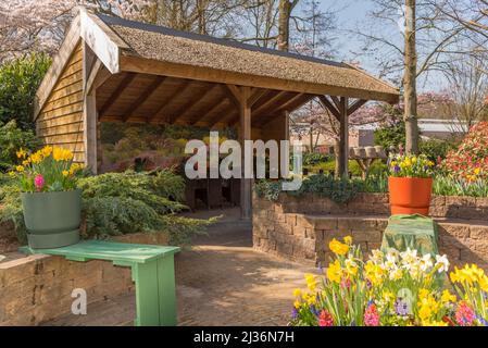 Lisse, Paesi Bassi, aprile 2022. I giardini Keukenhof con tipico paesaggio olandese con narcisi, tulipani e mulino a vento. . Foto di alta qualità Foto Stock