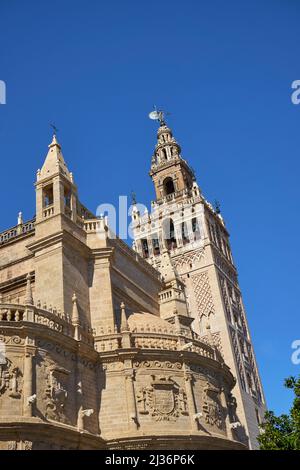 Il campanile Giralda, Cattedrale, Siviglia, Spagna Foto Stock