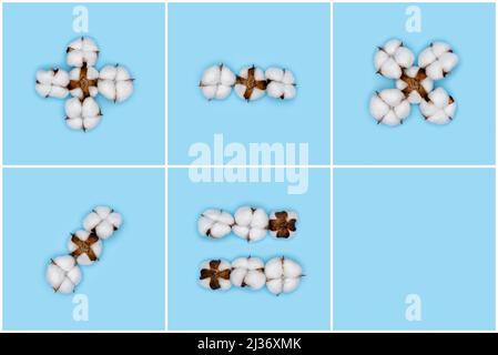 Kit di segni matematici di base fatti di fiori di cotone e isolati su fondo blu massiccio. Alfabeto floreale e concetto di numeri. Parte del set di cotone f Foto Stock