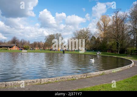 Victoria Park nella città di Newbury, con vista sul laghetto nautico, Berkshire, Inghilterra, Regno Unito Foto Stock