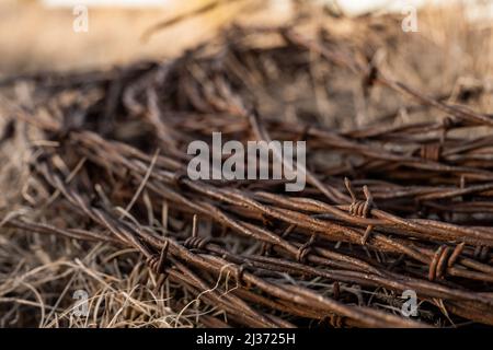 Rusy Barbed Wire Close Up trovato lungo il sentiero escursionistico del deserto in Alpine, texas Foto Stock