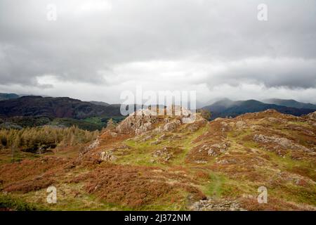 La cagnosa cima di Holme cadde vicino a Coniston il Distretto del Lago Cumbria Inghilterra Foto Stock