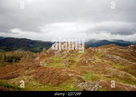 La cagnosa cima di Holme cadde vicino a Coniston il Distretto del Lago Cumbria Inghilterra Foto Stock