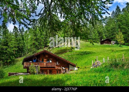 Valle verde nella via chami-hitta e sentiero muschio dalla stazione ferroviaria Riffelalp per il villaggio di Zermatt, Cervino, Vallese, Svizzera, Europa. Foto Stock