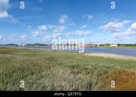 Toenning al fiume Eider sulla penisola di Eiderstedt, Mare del Nord, Frisia del Nord, Germania Foto Stock