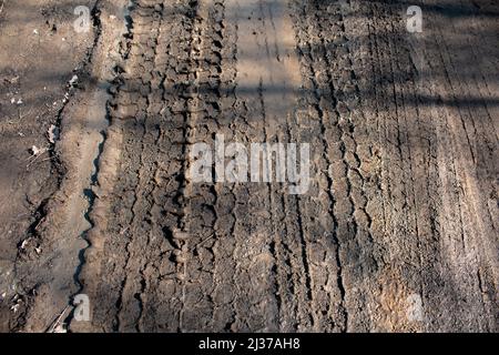 Carreggiata su terreno fangoso, percorso forestale fangoso con contrassegno ruota motrice Foto Stock