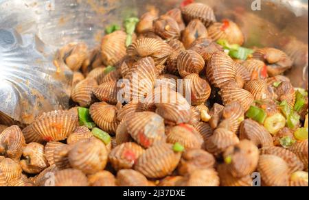 Conchiglia di cocci freschi e deliziosi, bolliti con salsa piccante Foto Stock