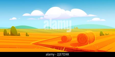 Paesaggio rurale con balle di fieno su campo agricolo. Cartoni animati vettoriali illustrazione della campagna, terreni agricoli con rotondi di paglia di grano, ha giallo Illustrazione Vettoriale