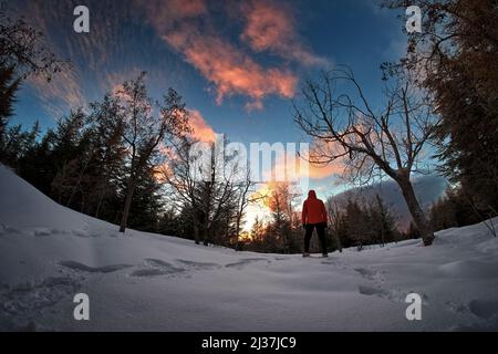 Uomo che guarda il tramonto in inverno Parco dell'Etna, Sicilia Foto Stock