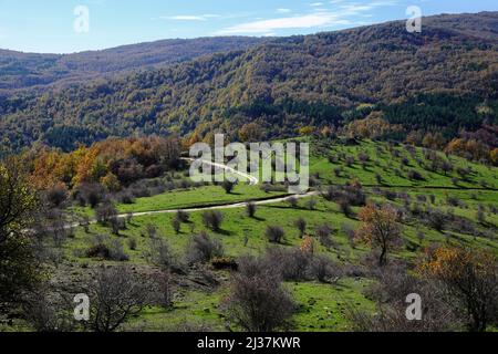 Paesaggio di campagna autunnale della foresta nel Parco dei Nebrodi, Sicilia Foto Stock