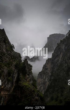 Scogliere affilate di calcare e gole profonde sotto le nuvole in una giornata grigia piovosa Foto Stock