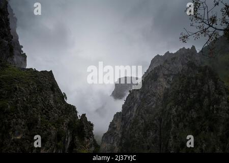 Scogliere affilate di calcare e gole profonde sotto le nuvole in una giornata grigia piovosa Foto Stock