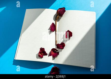 Rosa rossa asciutta sulle pagine di un notebook aperto Foto Stock