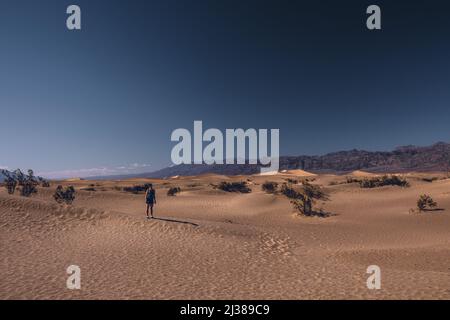Un bel colpo di uomo in piedi a Mesquite Flat Sand Dunes presso il Death Valley National Park, Stati Uniti Foto Stock