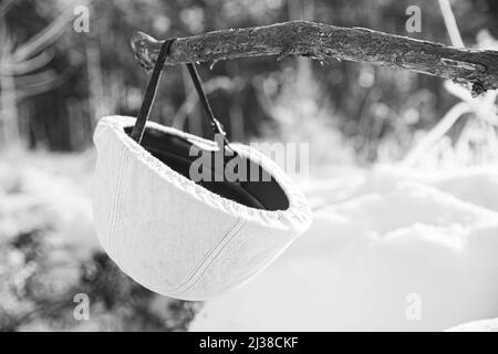 Tedesco Wehrmacht soldati fanteria casco bianco appeso su banchina di legno nella foresta invernale di neve. Seconda guerra mondiale munizioni di attrezzature dell'esercito vecchio. Metallo Foto Stock