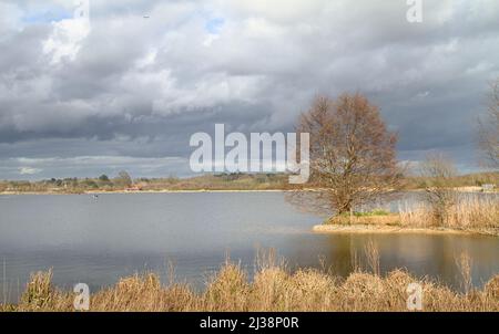 Lago e letti Reed a Longham Lakes Fishing and Nature Reserve, Poole Dorset Foto Stock