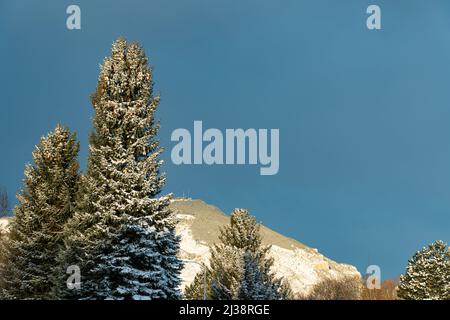 Cedar Mountain e pini con neve sullo sfondo del cielo blu per il tuo messaggio di testo. La posizione è Cody, Wyoming, con torri di comunicazione. Foto Stock