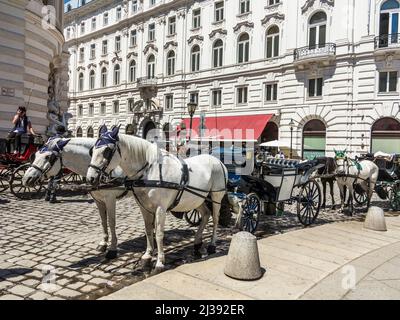 VIENNA, AUSTRIA - 28 MAGGIO 2017: Coachman tradizionale e due cavalli bianchi decorati, chiamato Fiaker, in attesa di turisti nella via centrale di Vienna, Foto Stock