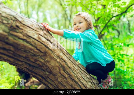 bambina su albero in estate sulla natura bambina Foto Stock