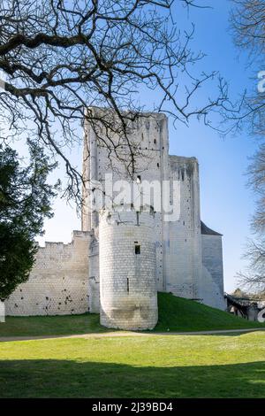 Prigione medievale di Loches in un pomeriggio di primavera soleggiato, Touraine, Francia Foto Stock