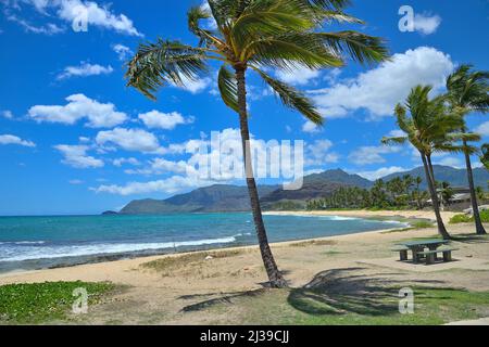 Impressioni panoramiche dal famoso Honolulu, Oahu HI Foto Stock