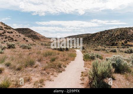 Sentiero che si snoda attraverso il pennello di ragebrush ai piedi delle colline di Boise Foto Stock