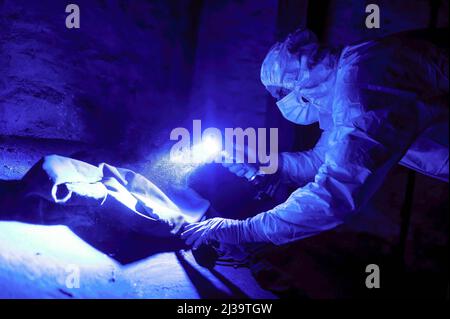 Un esperto ha visto la ricerca di tracce di sangue su una camicia utilizzando luminol. Uno specialista che esamina le tracce di sangue presenta tecniche per l'analisi e la sicurezza delle prove presso la sede della polizia di Voivodship a Gdansk. Foto Stock