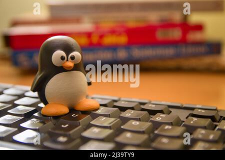 2021.Spagna. Immagine di un pinguino Tux, emblema del sistema operativo Linux su una tastiera per computer Foto Stock