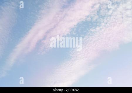 Cielo pastello con scie chimiche, sfumature bianche e rosa e blu Foto Stock