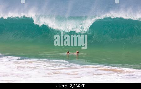 La coppia di nuoto sta per essere inghiottita da un grande swell a Waimea Bay Foto Stock