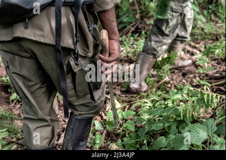 Parco Nazionale dei vulcani, Ruanda. 12th Jan 2020. Park tracker armato di un machete, che serve ad aprire un percorso attraverso la fitta vegetazione della foresta. Ogni giorno seguono le tracce dei Gorillas e individuano la loro posizione all'interno della Foresta. Lavoro faticoso, pagato con pochi dollari al mese, ma per i quali rischiano la vita, sono spesso vittime di imboscate da bracconieri. (Credit Image: © Vito Finocchiaro/ZUMA Press Wire) Foto Stock