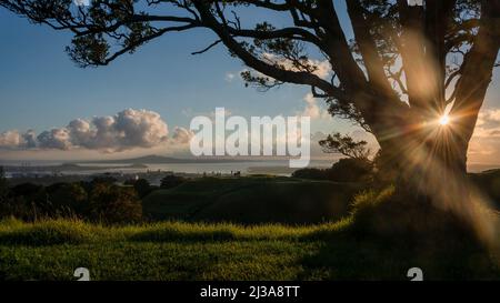 Vista dell'Isola di Rangitoto dalla cima del Monte Eden, stelle del sole che brillano attraverso l'albero di Pohutukawa, Auckland. Foto Stock