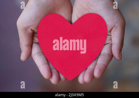 Il simpatico concetto di San Valentino con il biglietto True Love e il  cupido freccia su sfondo rosa Foto stock - Alamy