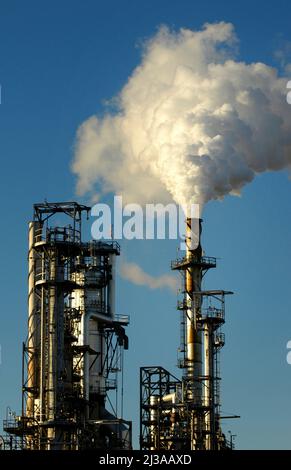 Raffineria di petrolio a El Paso Texas (Socorro, parte di El Paso) TX USA Stati Uniti fare gas e mettere il vapore in aria pulita nube Foto Stock