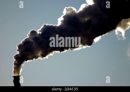Raffineria di petrolio a El Paso Texas (Socorro, parte di El Paso) TX USA Stati Uniti fare gas e mettere il vapore in aria pulita nube Foto Stock