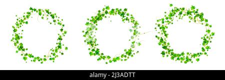 Ivy cornici rotonde, rampicante i confini del cerchio di vite con foglie verdi di pianta superriduttore. Hedera rami isolati su sfondo bianco. Elementi di progettazione per d Illustrazione Vettoriale