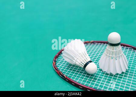 nuovo shuttleock sul campo da gioco di badminton verde Foto Stock