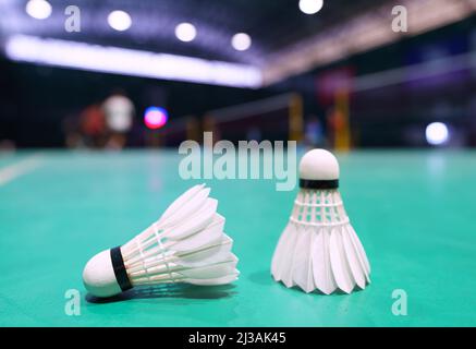 shuttlechock sul campo da gioco di badminton verde con giocatore in background Foto Stock