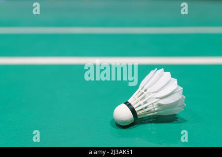 nuovo shuttleock sul campo da gioco di badminton verde Foto Stock