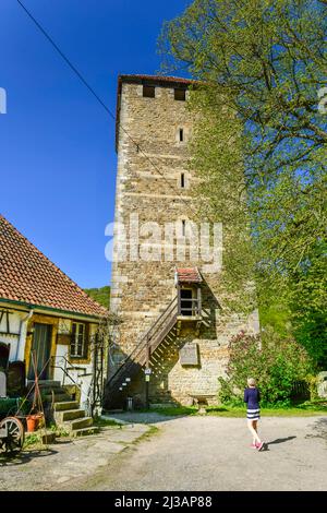 Keep, Castello di Schaumburg, Rinteln, Weserbergland, bassa Sassonia, Germania Foto Stock