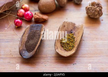 Aboriginal Bush cibo primo piano Foto Stock