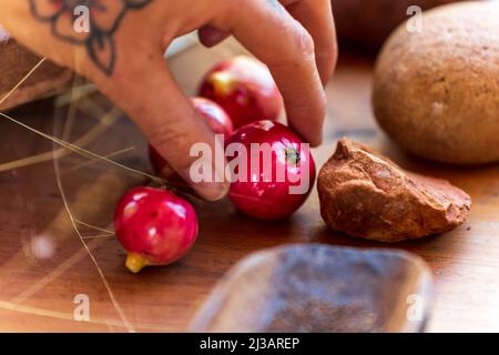 Aboriginal Bush cibo primo piano Foto Stock